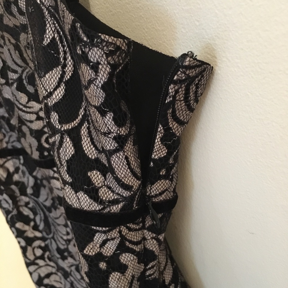 4. Ann Taylor LOFT lacy tank - Picture 3 of 5